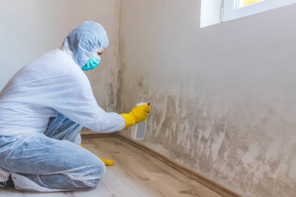 Mold Remediation specialist working in Grand Ledge
